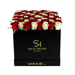 Crave You-Sally Helmy - Egypt