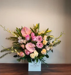 سالي حلمي - مصر 