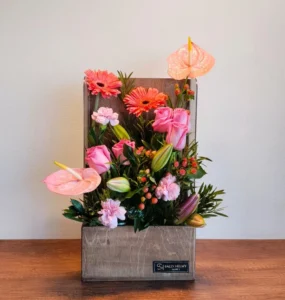 سالي حلمي - مصر 