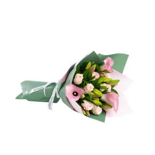 Pure-Sally Helmy - Egypt