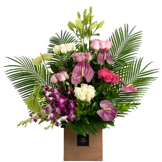 Fiesta-Sally Helmy - Egypt