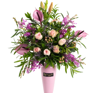 Vibrant-Sally Helmy - Egypt