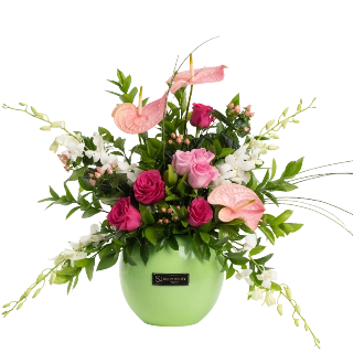 Butterfly-Sally Helmy - Egypt