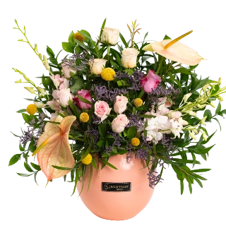 Ray-Sally Helmy - Egypt