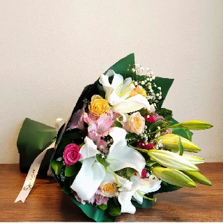 SHF0272-Sally Helmy - Egypt