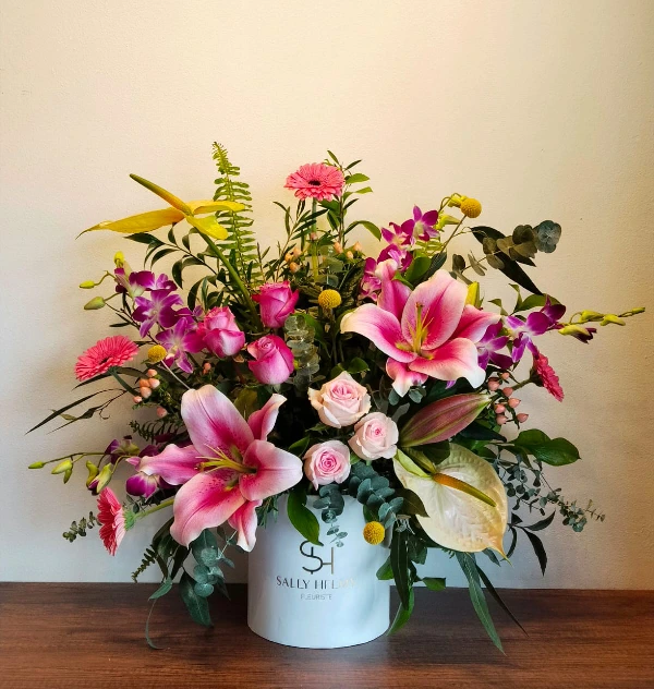 SHF0256-Sally Helmy - Egypt