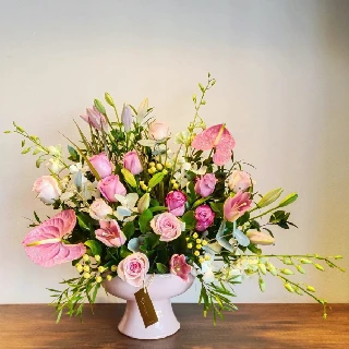 UNI0273-سالي حلمي - مصر