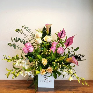 SHF0275-Sally Helmy - Egypt