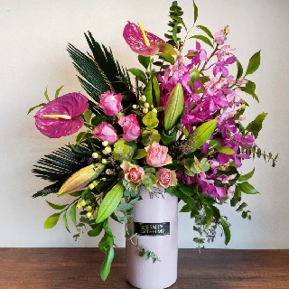 SHF0276-Sally Helmy - Egypt