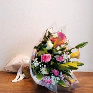 SHF0278-Sally Helmy - Egypt