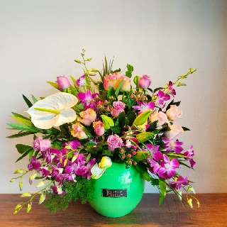 SHF0258-Sally Helmy - Egypt