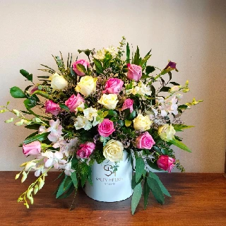 SHF0259-Sally Helmy - Egypt