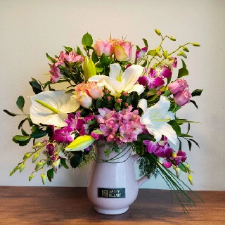 SHF0266-Sally Helmy - Egypt