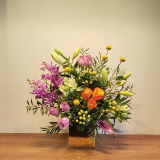 SHF0265-Sally Helmy - Egypt