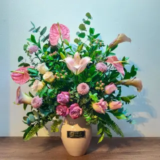 UNI0318-سالي حلمي - مصر