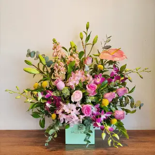 SHF0336-Sally Helmy - Egypt