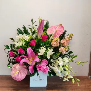 SHF0338-Sally Helmy - Egypt