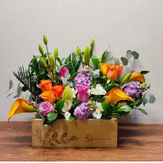 SHF0340-Sally Helmy - Egypt