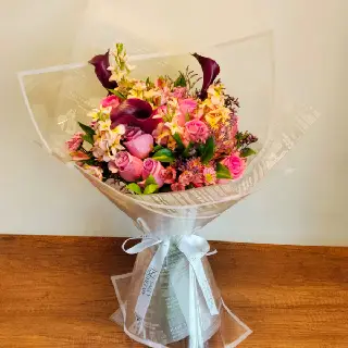 SHF0341-Sally Helmy - Egypt