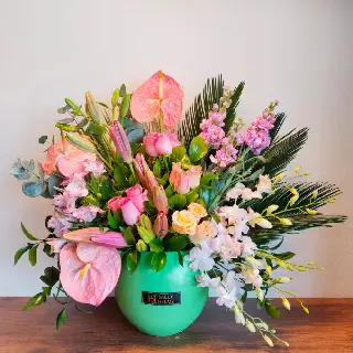 SHF0342-Sally Helmy - Egypt