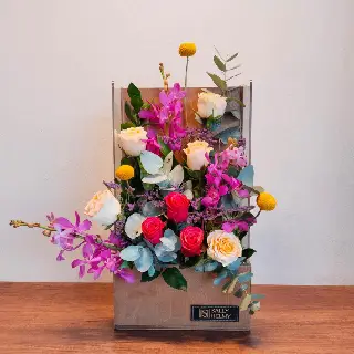 UNI0314-سالي حلمي - مصر