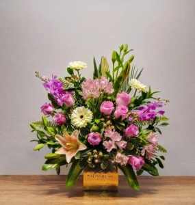 سالي حلمي - مصر 