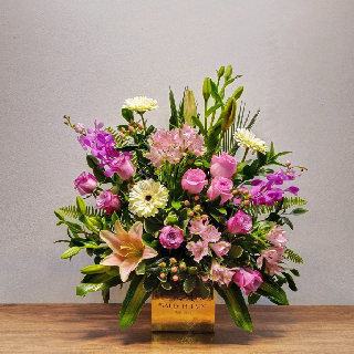 UNI0316-سالي حلمي - مصر