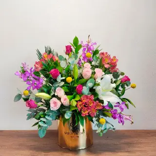 SHF0388-Sally Helmy - Egypt