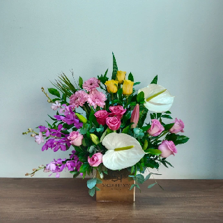 UNI0410-سالي حلمي - مصر