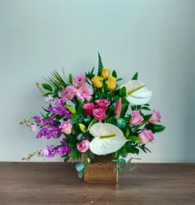 سالي حلمي - مصر 