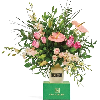 Victorious-Sally Helmy - Egypt