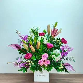 UNI0428-سالي حلمي - مصر