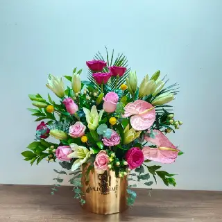 UNI0432-سالي حلمي - مصر