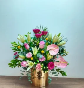 سالي حلمي - مصر 