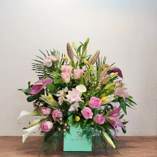 UNI0438-سالي حلمي - مصر