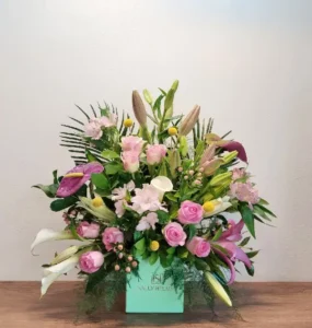 سالي حلمي - مصر 