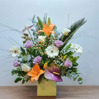 UNI0440-سالي حلمي - مصر