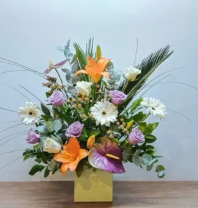 سالي حلمي - مصر 