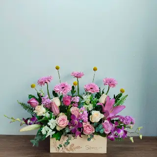 UNI0446-سالي حلمي - مصر