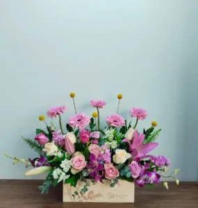 سالي حلمي - مصر 