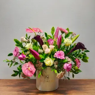 -سالي حلمي - مصر