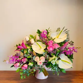 UNI0413-سالي حلمي - مصر