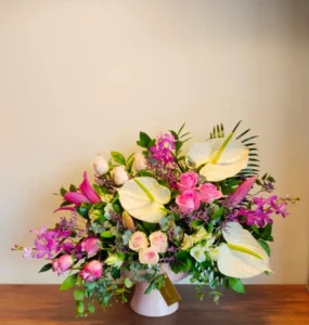 سالي حلمي - مصر 