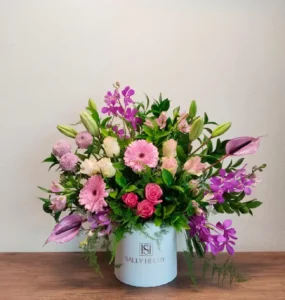 سالي حلمي - مصر 