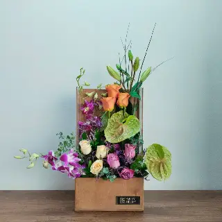 SHF0416-Sally Helmy - Egypt