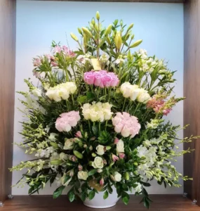 سالي حلمي - مصر 