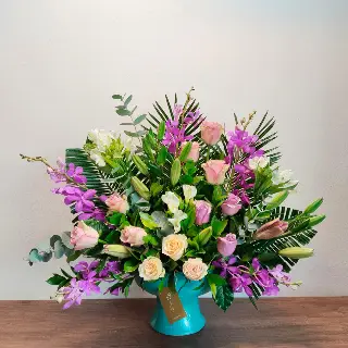 UNI0423-سالي حلمي - مصر